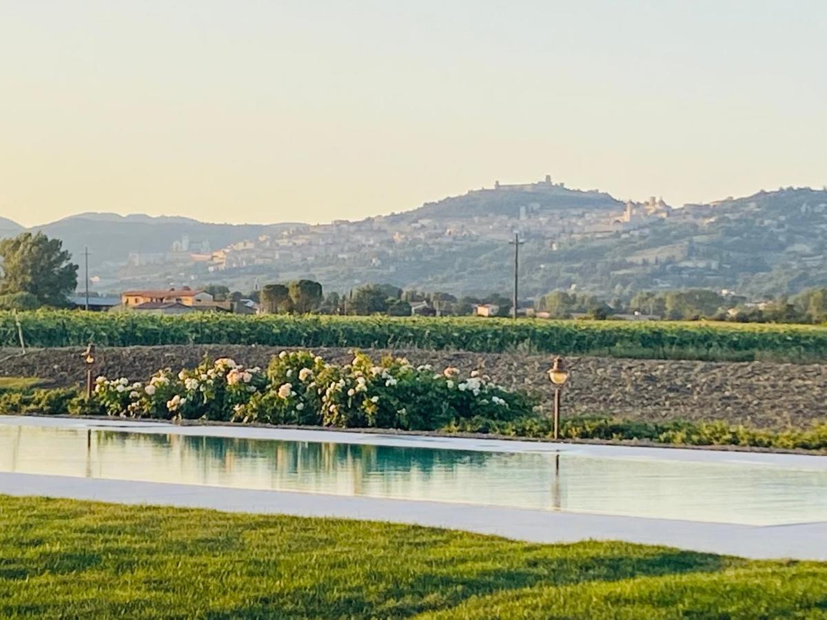 Borgo Degli Angeli Resort E Spa 圣维塔勒 外观 照片