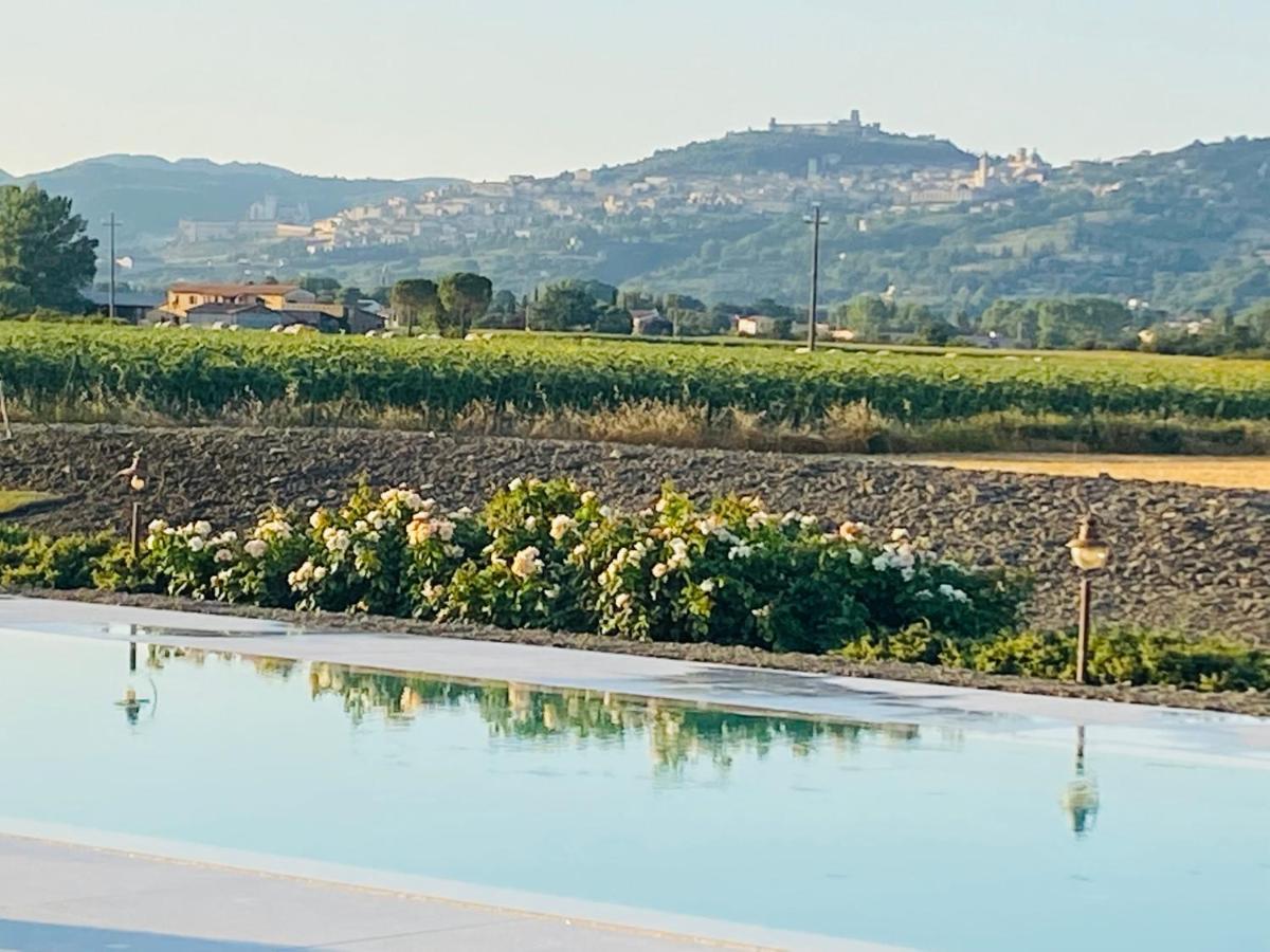 Borgo Degli Angeli Resort E Spa 圣维塔勒 外观 照片
